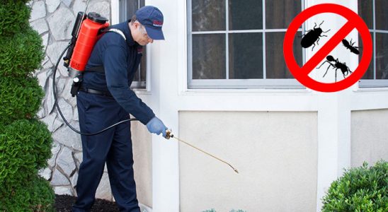 Helvacı Kemirgen İlaçlama böcek ilaçlama ve haşere kontrolü — ilaclama-tr.com